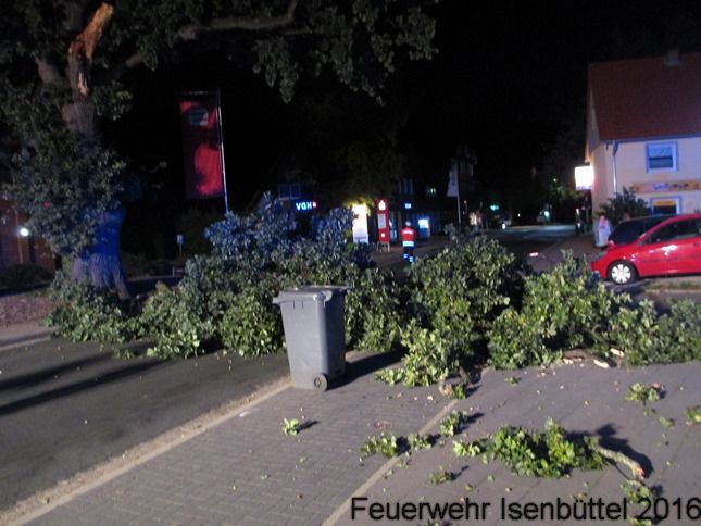 Techn. Hilfeleistung Baum auf Straße